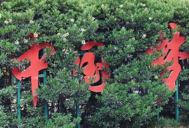 �����ܿڣ�̫������ ��Ϊů����