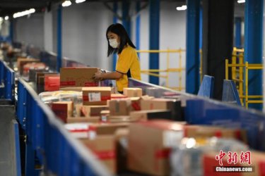 �岿�ţ������ƽ������Ч����ר���ж� ���������ɱ�