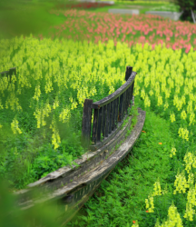 ֮