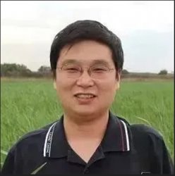 鴦ݿ涨᳹ʵЧ