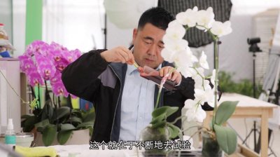 ������ģ���� ��ȡ�ܽ�����